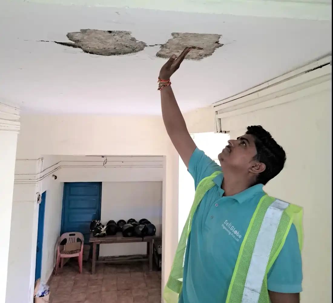 Structural Stability Consultant